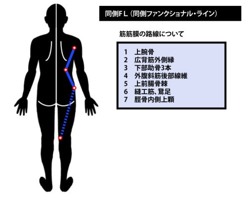 東御市,上田市,小諸市,整体,指圧,ほぐしや,マッサージ,アナトミー・トレイン
